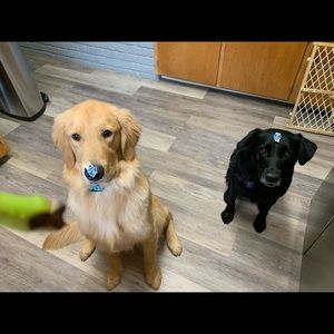 Meet your Posher, Robyn